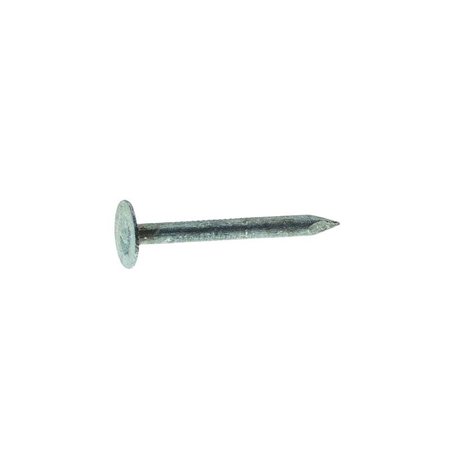 GRIP-RITE Common Nail, 2 in L, 6D, Steel, Electro Galvanized Finish, 11 ga 2EGRFG5